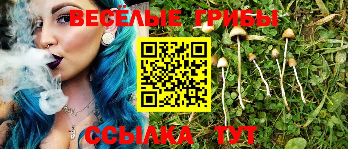 Нефтеюганск  Псилоцибиновые грибы Psilocybe  продажа наркотиков  Вход с VPN 